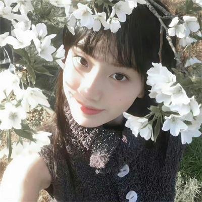 橙子与阳光